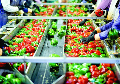 Food Processing