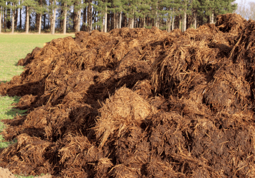 Animal Waste