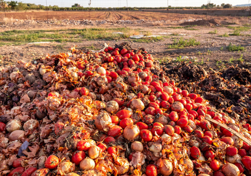 Agriculture waste