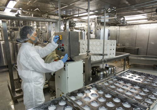 Food Processing