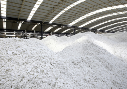 Paper and Pulp Industry